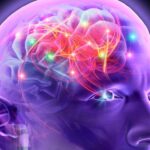 "#1 Guide" to Understanding Epilepsy - 10 Acupuncture CEUs/PDAs
