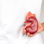 “11 Acupuncture & TCM Lessons” - Kidney Stones, Bladder & Kidney Diseases - 11 Acupuncture CEUs/PDAs