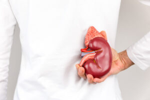 “11 Acupuncture & TCM Lessons” - Kidney Stones, Bladder & Kidney Diseases - 11 Acupuncture CEUs/PDAs