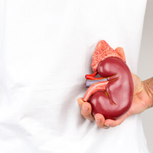 “11 Acupuncture & TCM Lessons” - Kidney Stones, Bladder & Kidney Diseases - 11 Acupuncture CEUs/PDAs