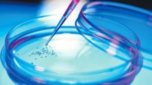 "2050" Advanced Future Stem Cell Treatments (15 CEUs)