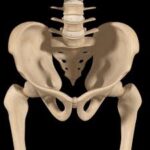 Understanding the Pelvic Girdle Part 1 - 12 Acupuncture CEUs