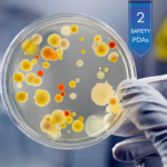 A Bacterial Infection & Safety