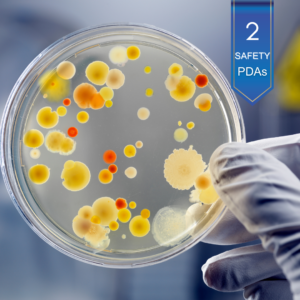 A Bacterial Infection & Safety