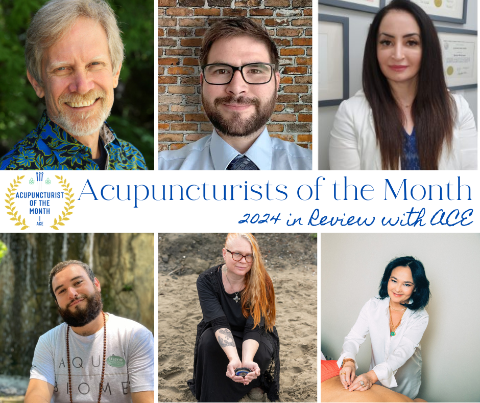 ACE Acupuncturists of the Month Year in Review 2024