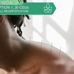 FL Option 1 - 28 Acupuncture CEUs with 2 Free CEUs - Full Recertification