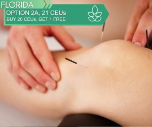 FLORIDA Option 2A 21 CEUs