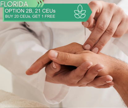 FLORIDA Option 2B 21 CEUs